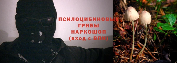 крисы Вяземский