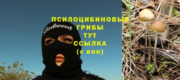 ешки Вязьма