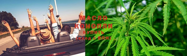 крисы Вяземский