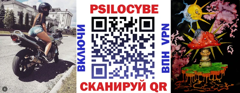 Купить где  Петушки  Галлюциногенные грибы Psilocybine cubensis 